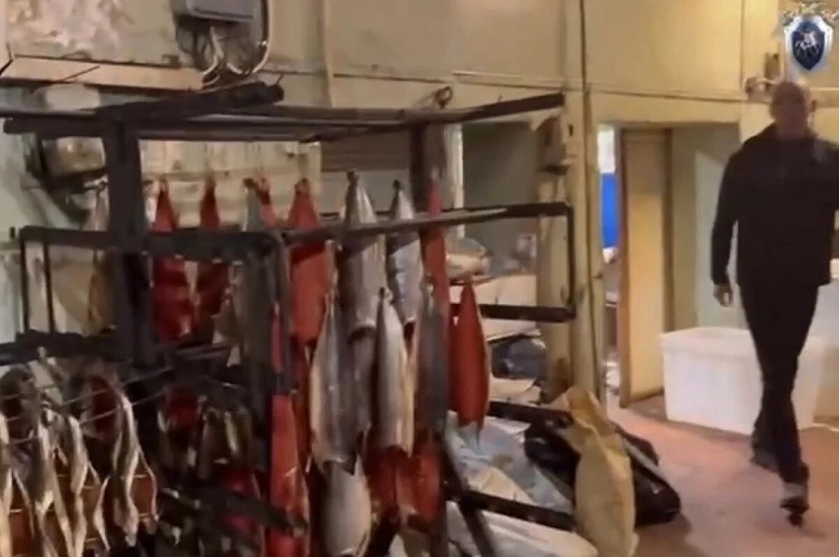    На Камчатке организованная группа 6 лет сбывала нелегальную рыбопродукцию