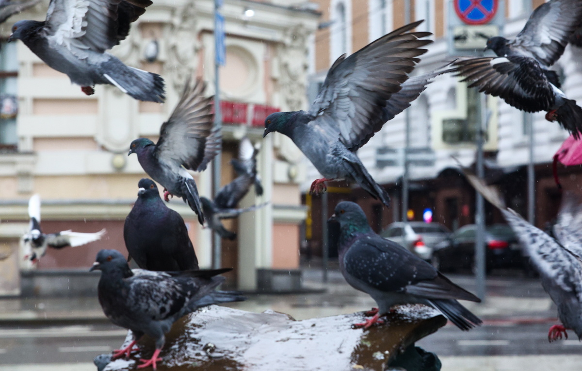 Сергей Булкин/ТАСС