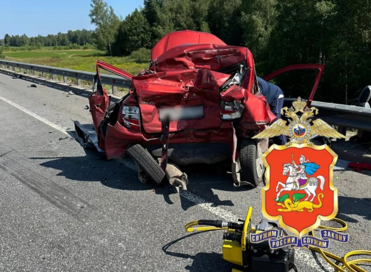  Фото: телеграм-канал "Подмосковная полиция"