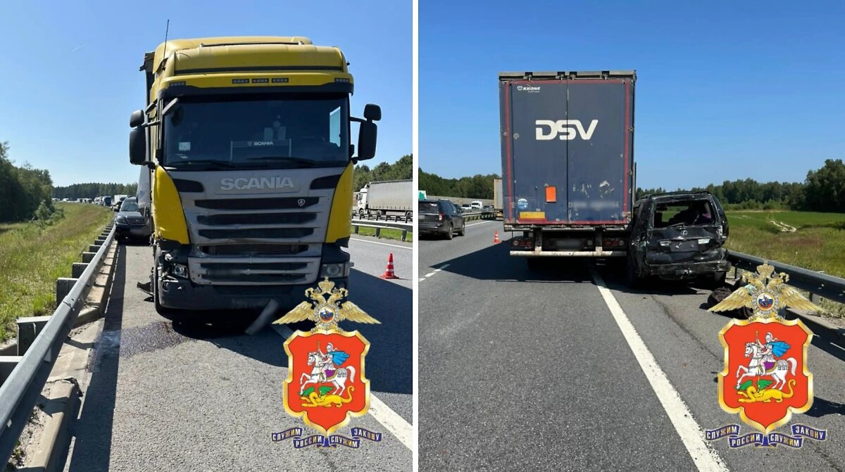  Фото: телеграм-канал "Подмосковная полиция"