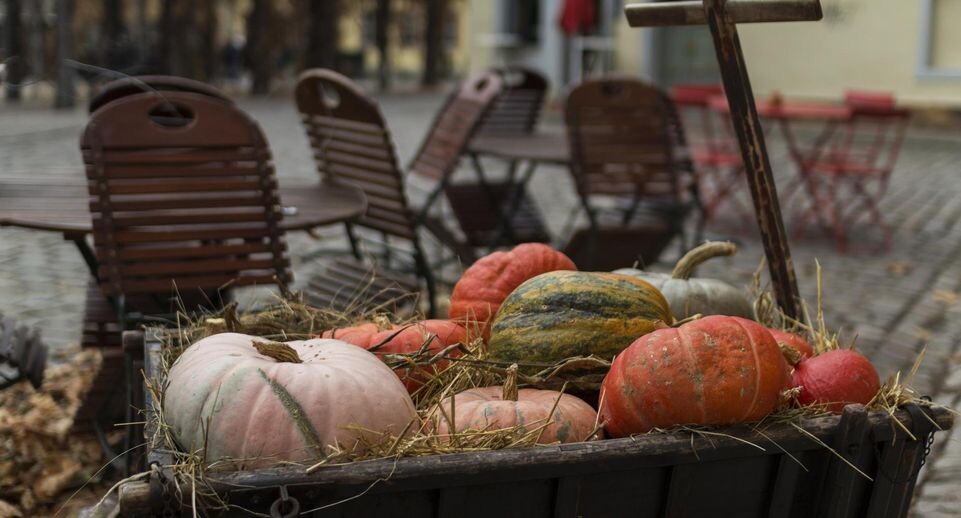    Helmut Hess/ imageBROKER.com / www.globallookpress.com