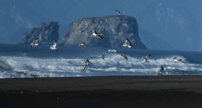    РИА «Новости»