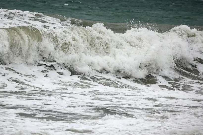     © РИА Новости Виталий Тимкив