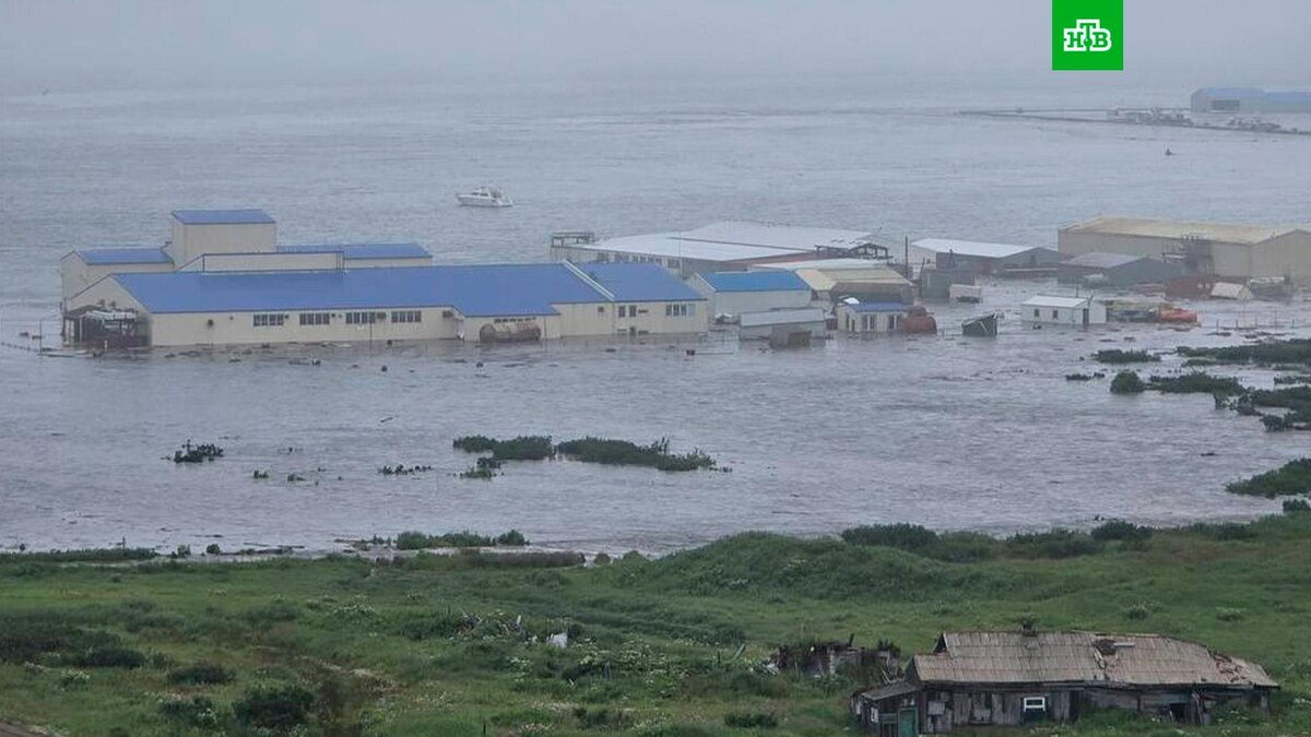    Фото: соцсети