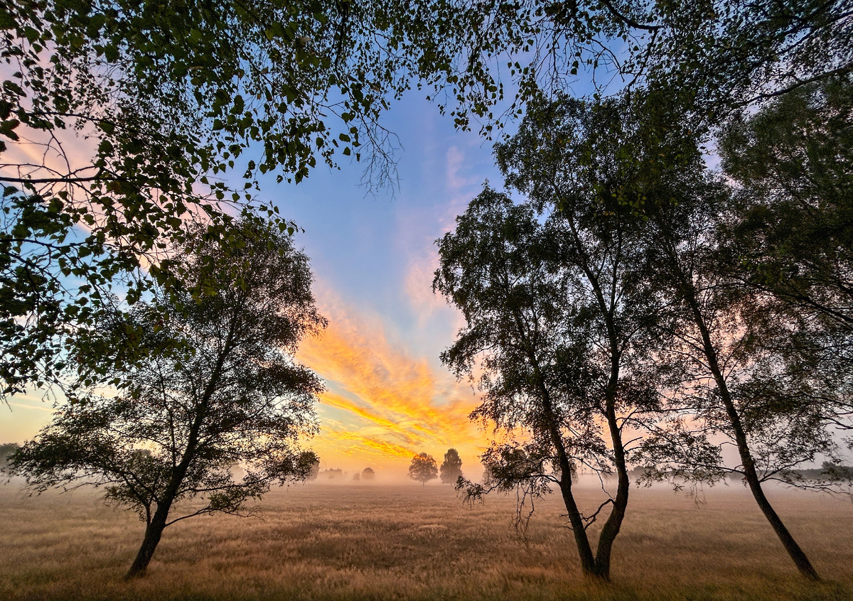 фото: Soeren Stache/dpa/Global Look Press