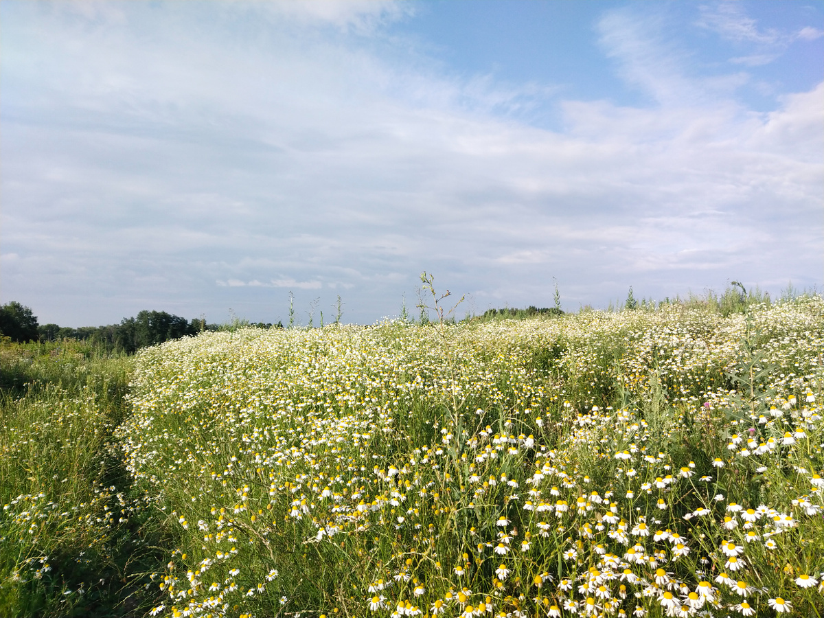 Личное фото