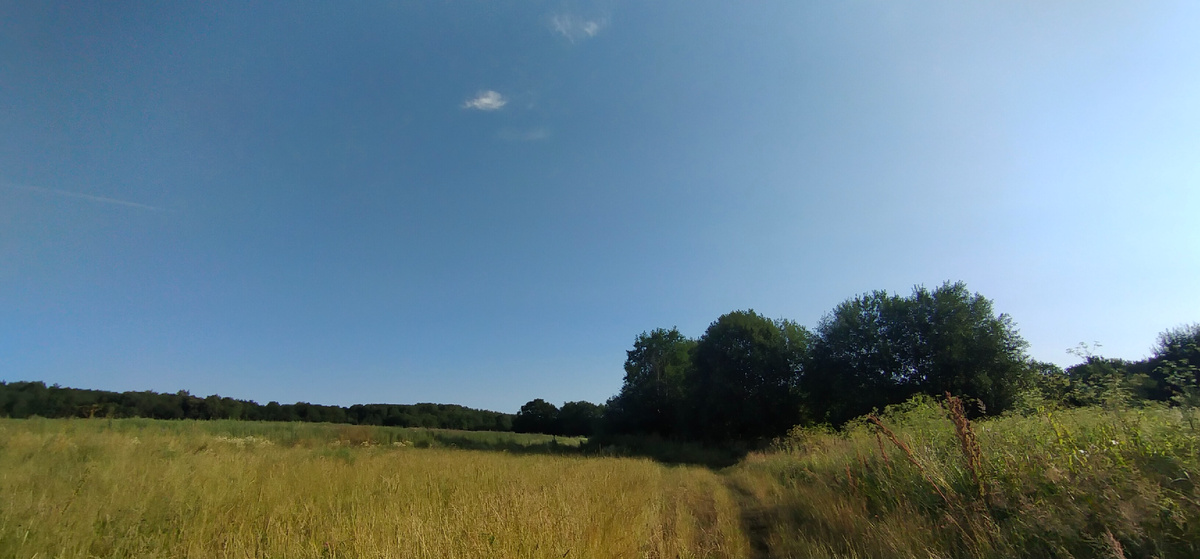 Личное фото