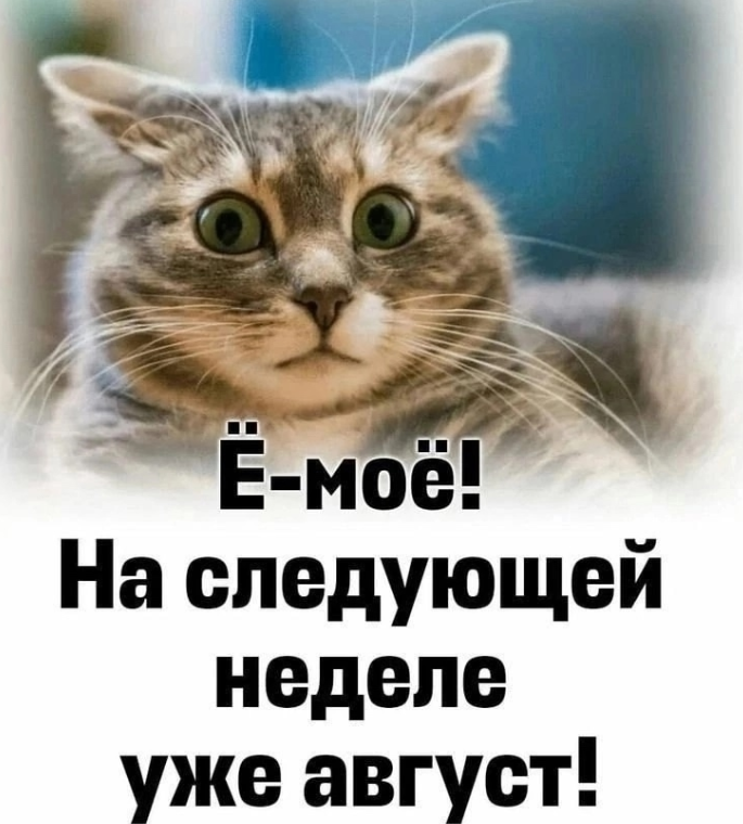 и правда! только уже на этой неделе :)
