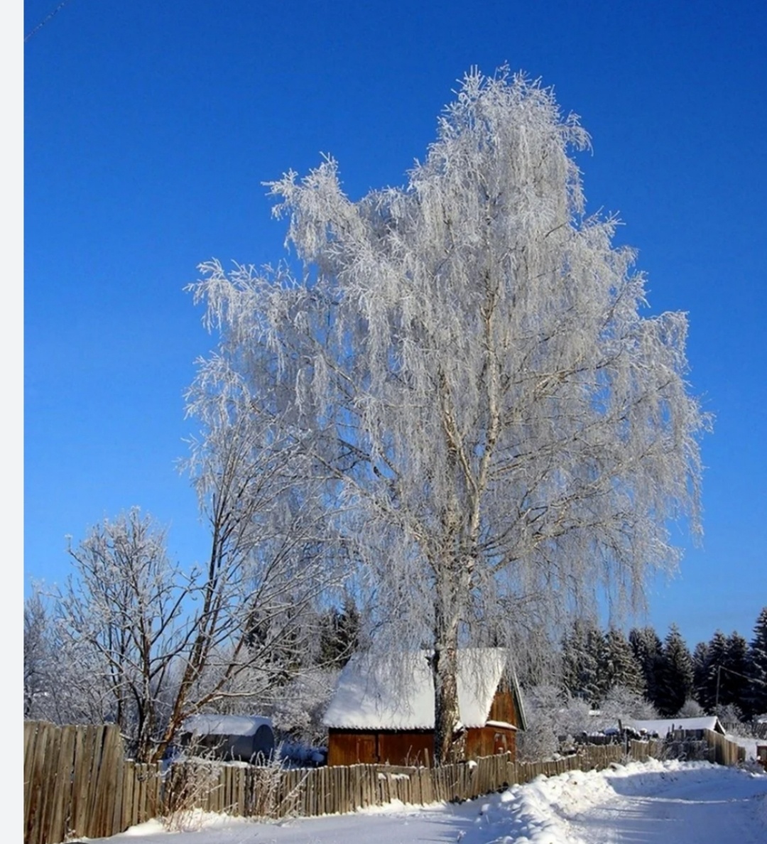 Фото взято из интернета. 