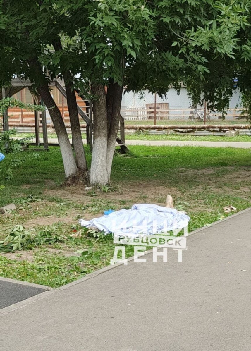    ЧП в парке Рубцовска. Источник: t.me/rbk_inc