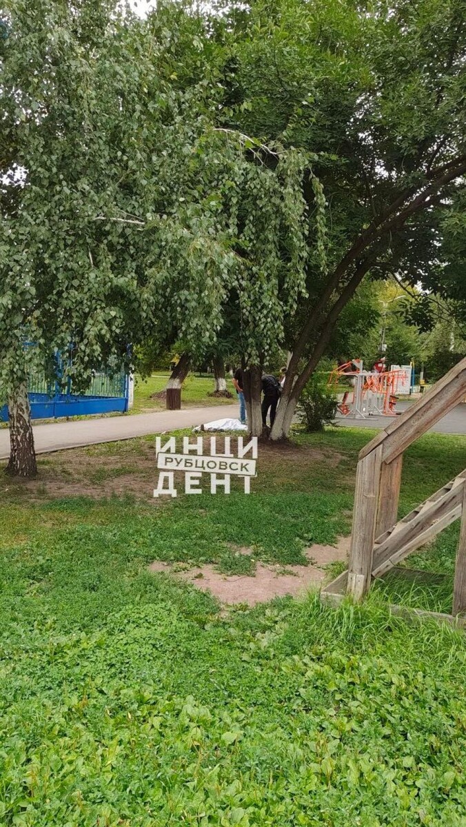    ЧП в парке Рубцовска. Источник: t.me/rbk_inc