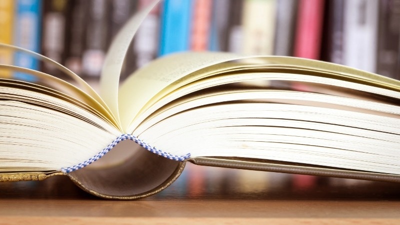      Фото: @pinkomelet / freepik.com