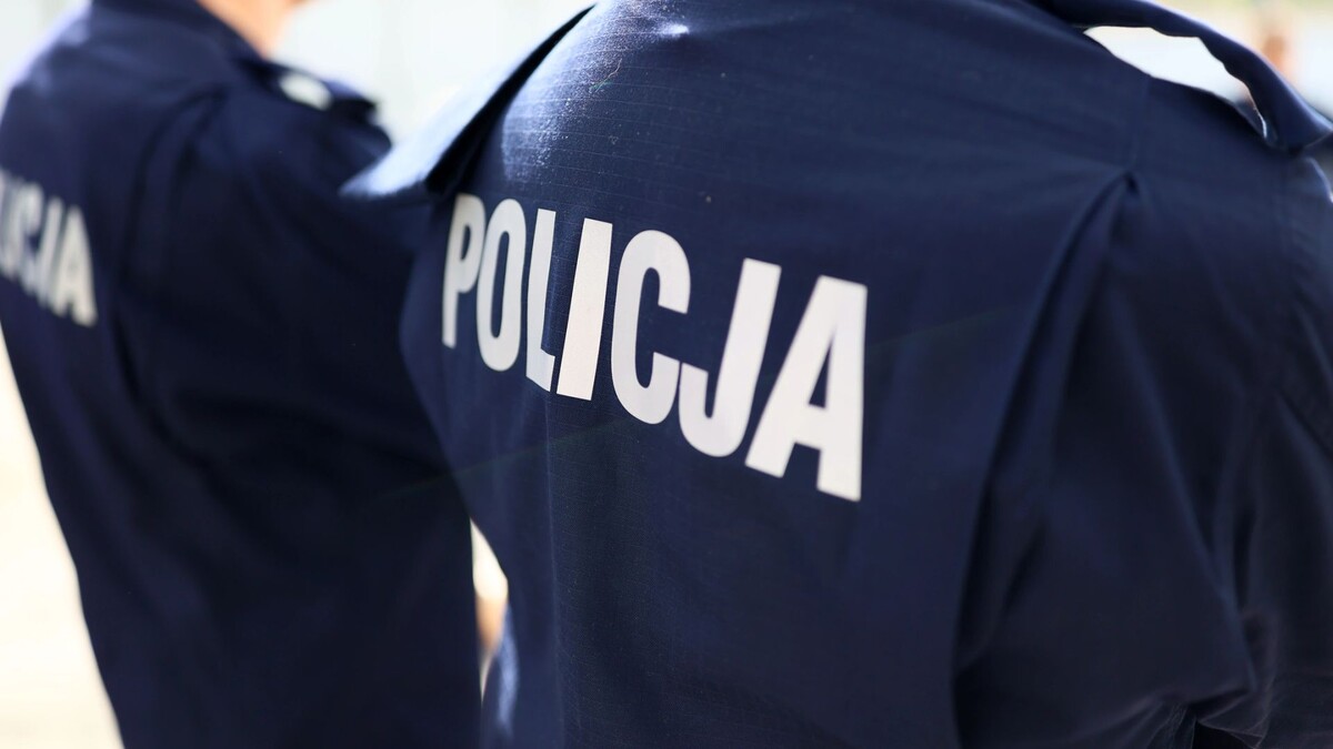    Фото: FotoDax/Shutterstock/Fotodom