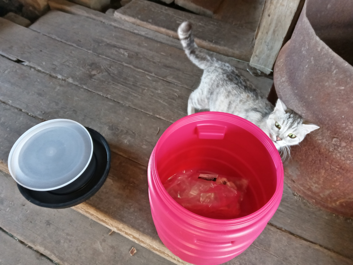 Коха и бочонок на 24 литра