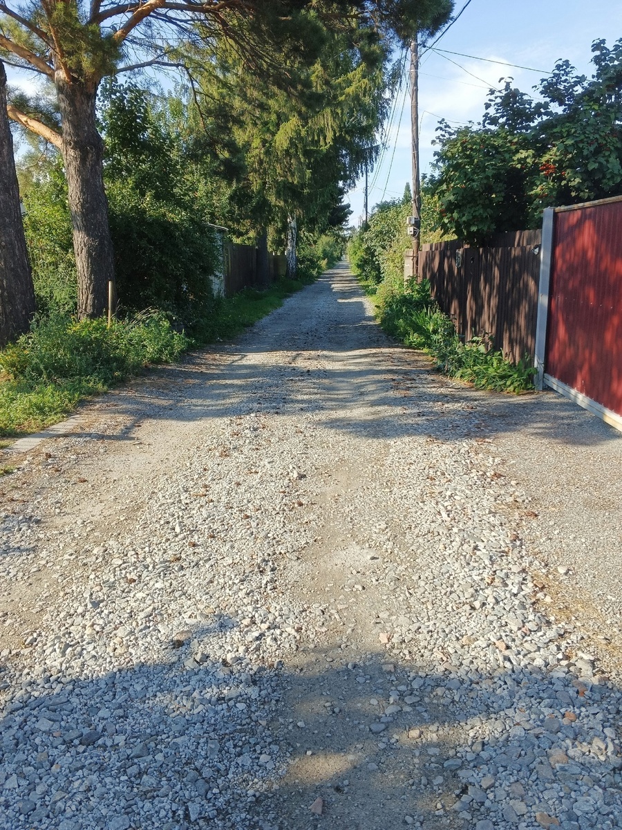 Аллея образца 28.07.2025