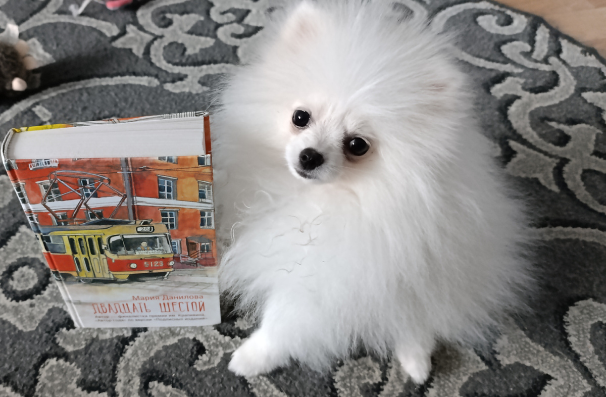 Сегодня с рекомендацией книги выступает Бэлла (хоть сама и немногим больше книги🤣). 