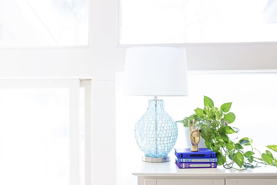 Комнатные растения помогают создать комфортное пространство дома или в офисе