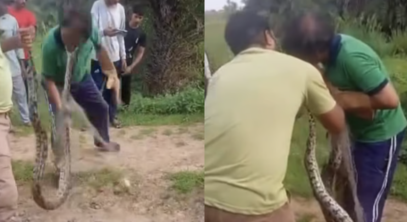    Скриншот видео социальные сети