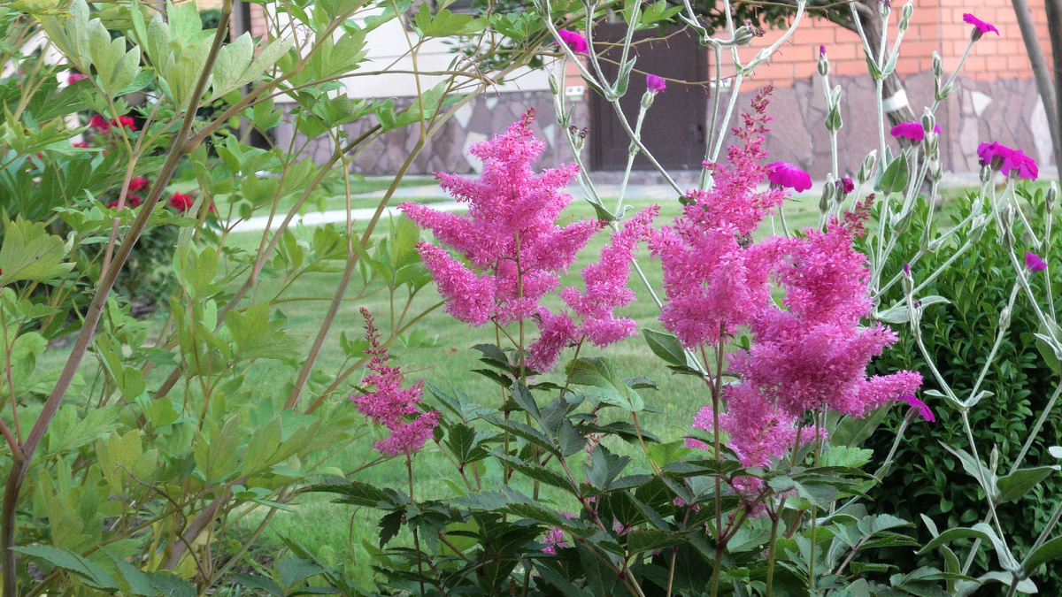 Фото автора канала Дом с кипарисами