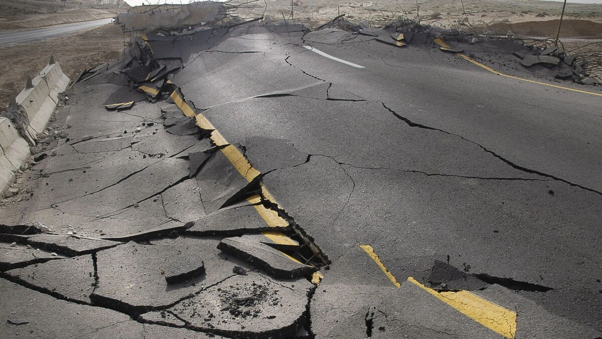    Фото: SDubi/Shutterstock/Fotodom