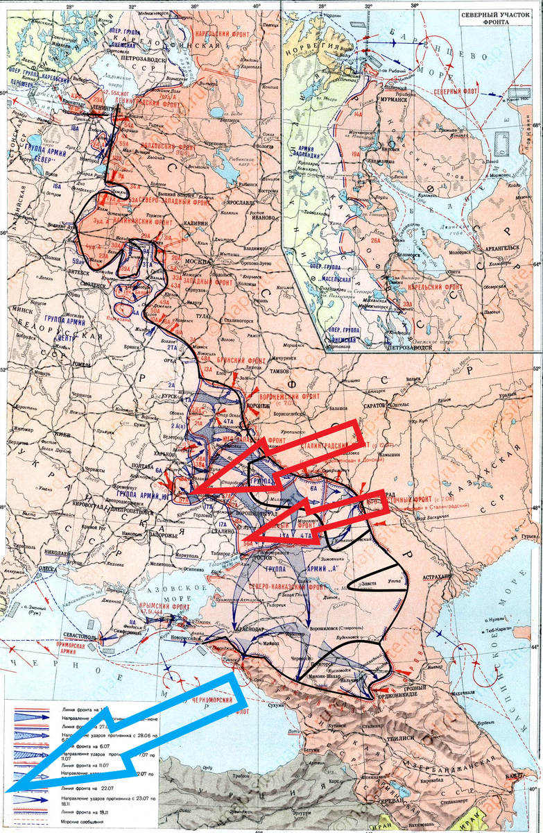 (Фото взято из открытых источников).