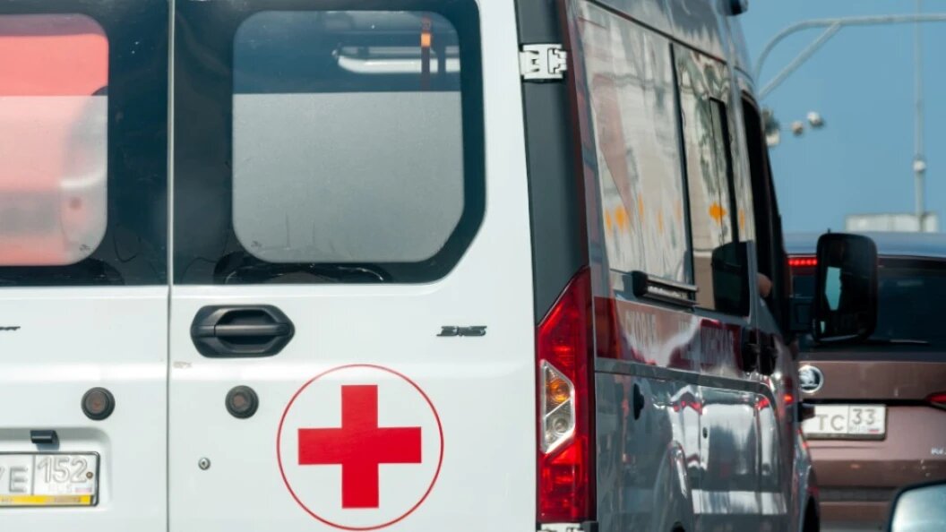    Svetlana Vozmilova/Globallookpress