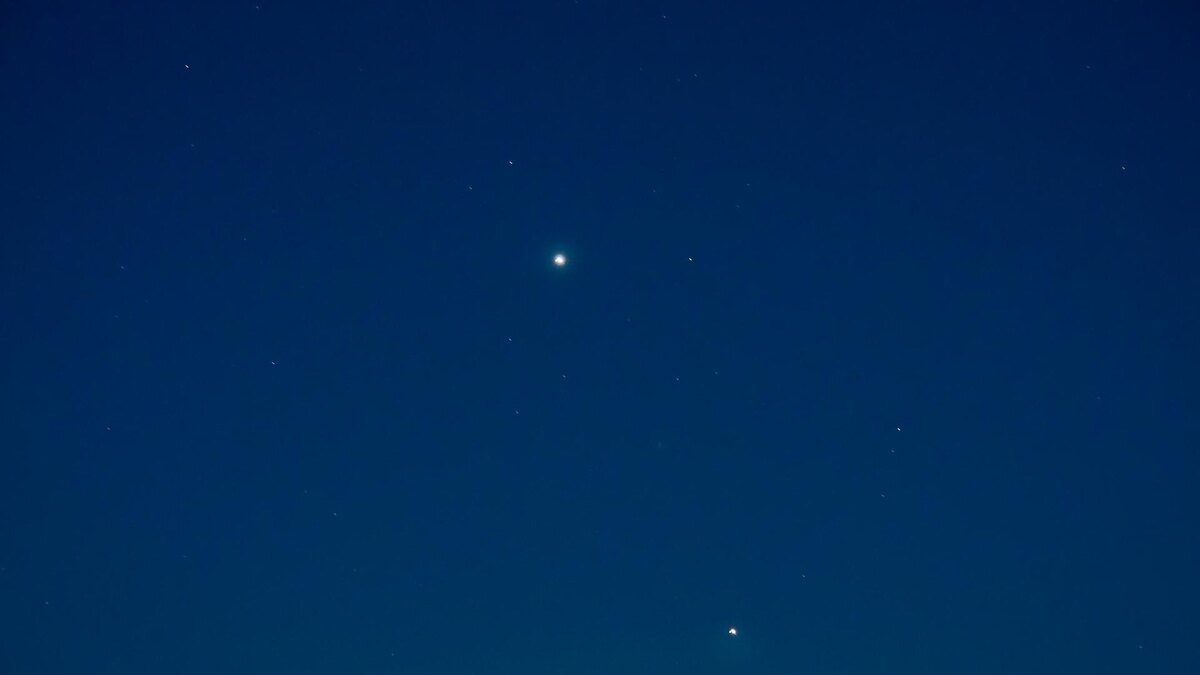    Фото: Svetlana Vozmilova/Global Look Press