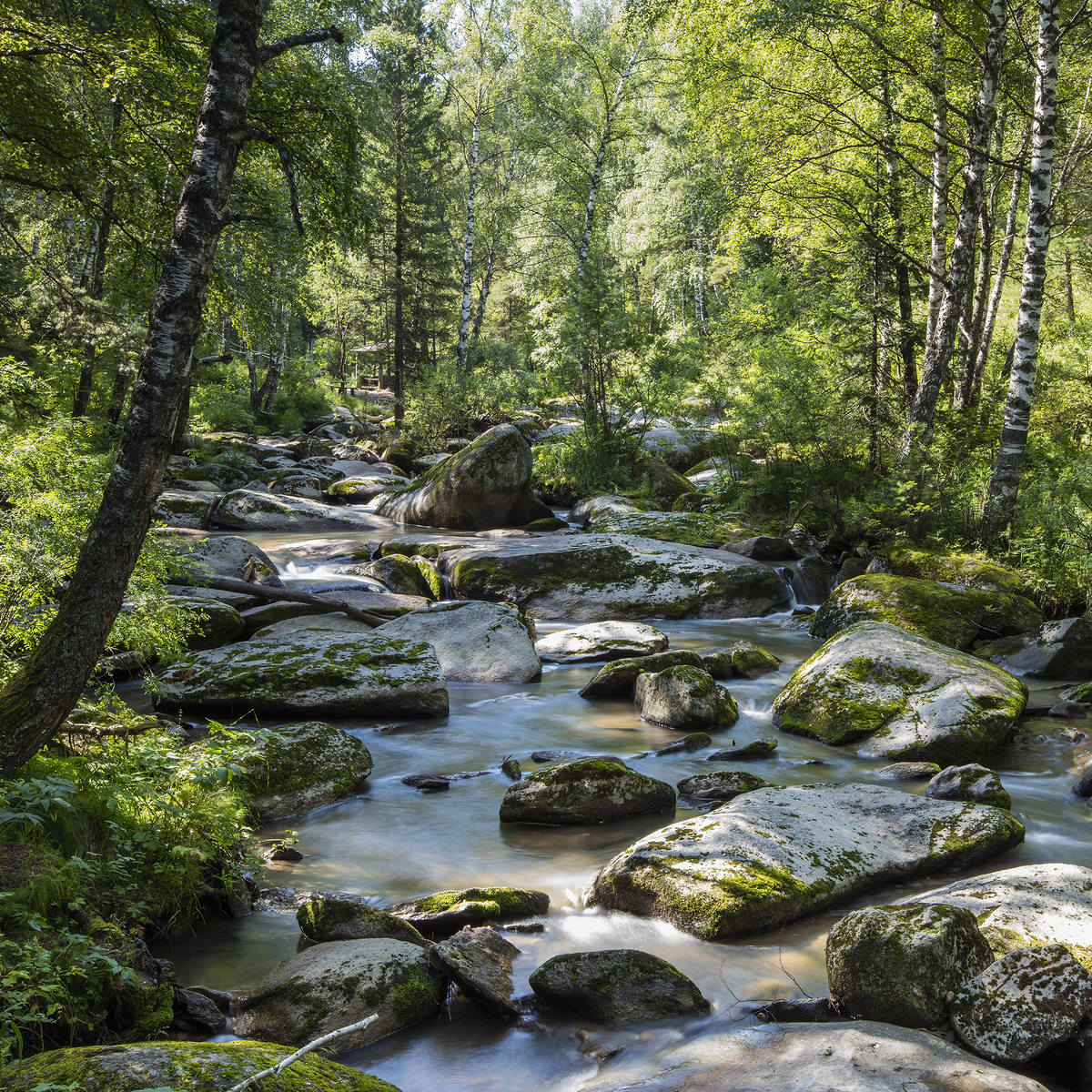 Фото: Игорь Хайтман.