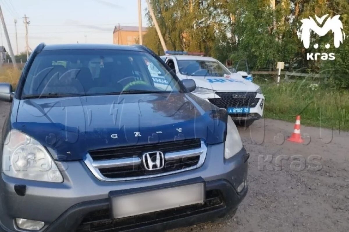    Пьяный водитель обстрелял преследовавших его гаишников из ракетницы