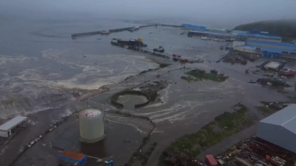    © Фото / пресс-служба Камчатского филиала ФИЦ ЕГС РАН