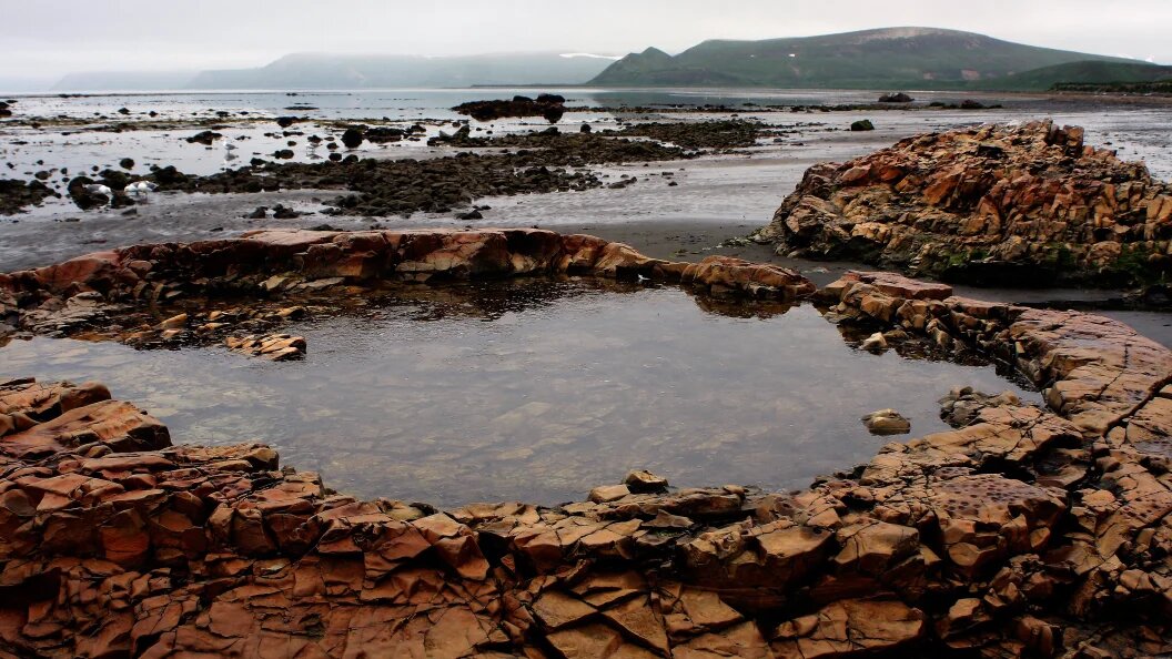    Фото: Dmitriy Utkin /Globallookpress