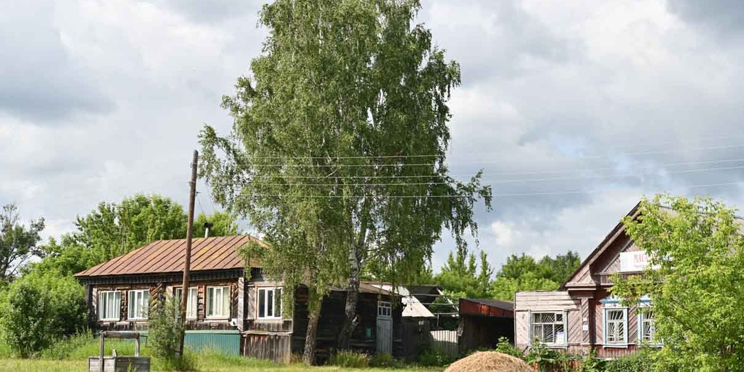 Возвращение земляники