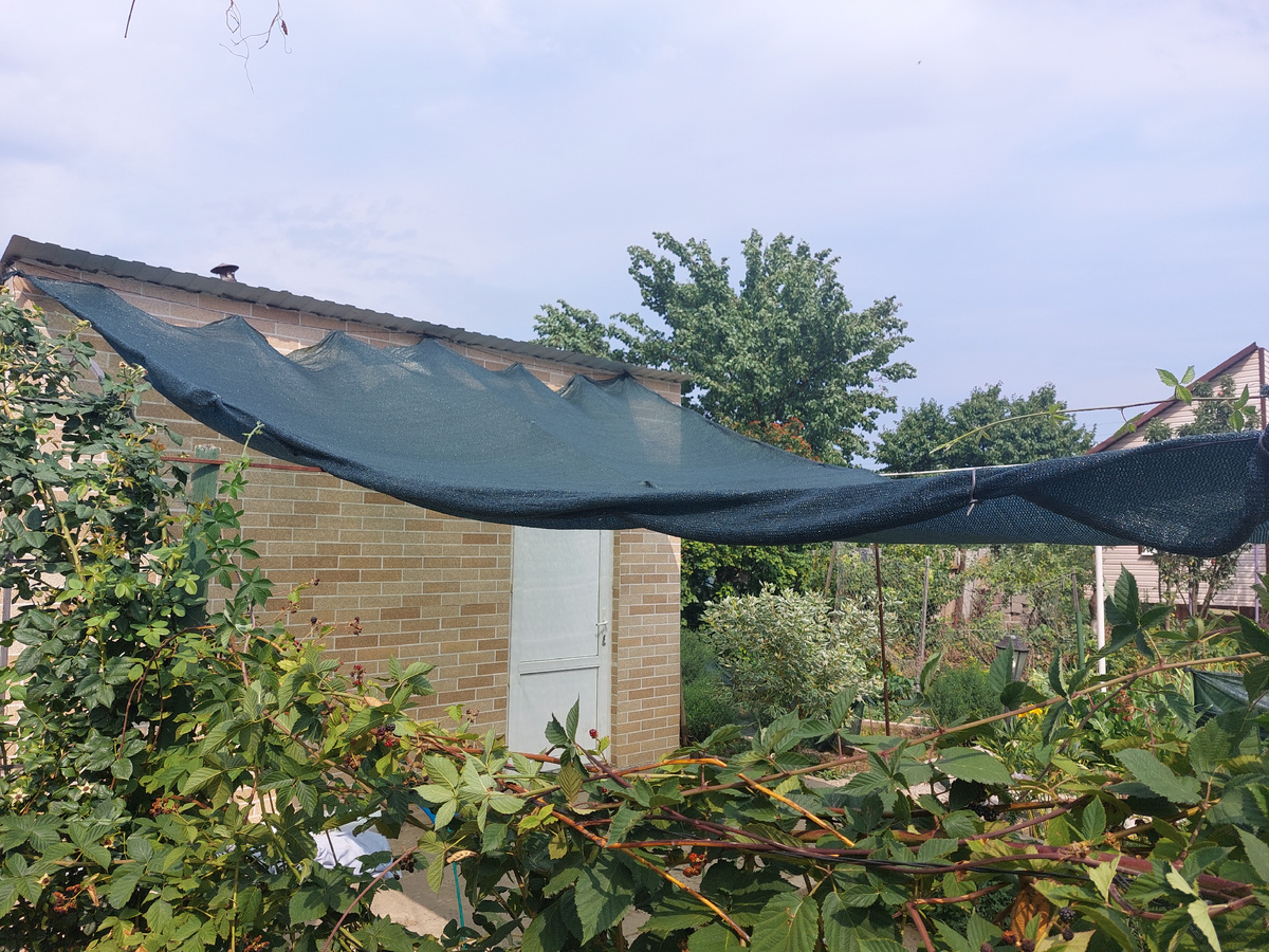 Закрепили сетку за стену бани,  теперь тень у нас и в грядках и на площадке около бани.