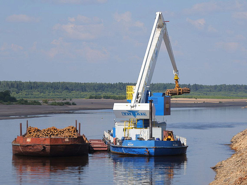 Фото: официальный ТГ-канал губернатора Архангельской области Александра Цыбульского