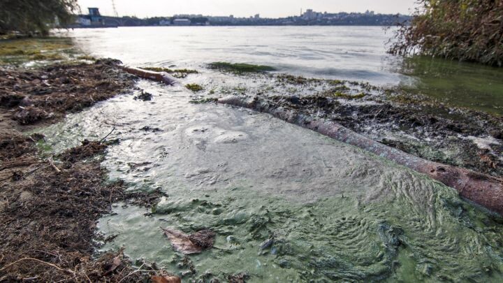    Фото: Игорь ФИЛОНОВ