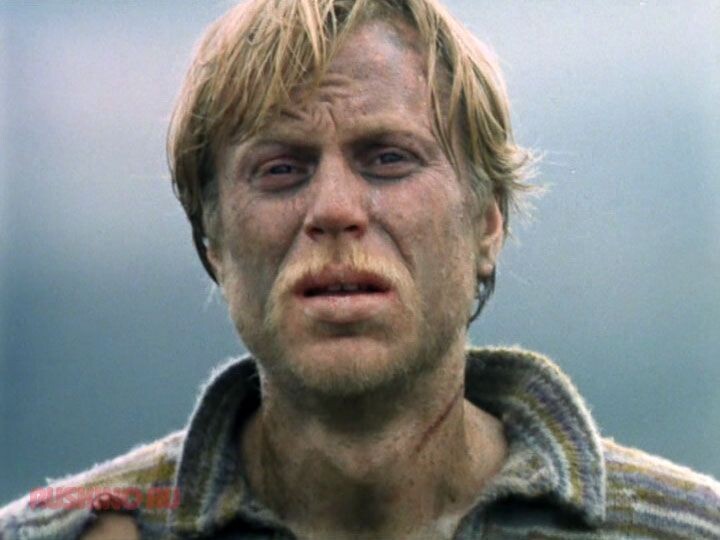 «Свой среди чужих…» из открытых источников