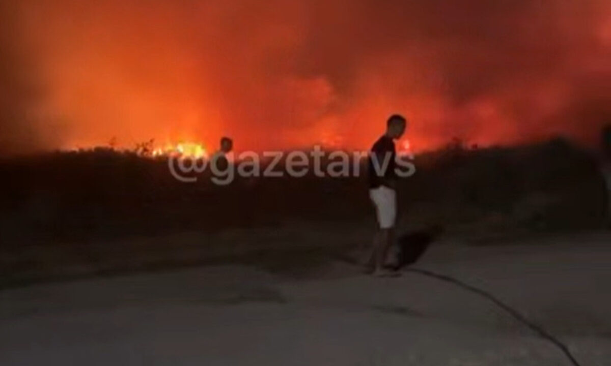    Фото t.me/gazetarvs