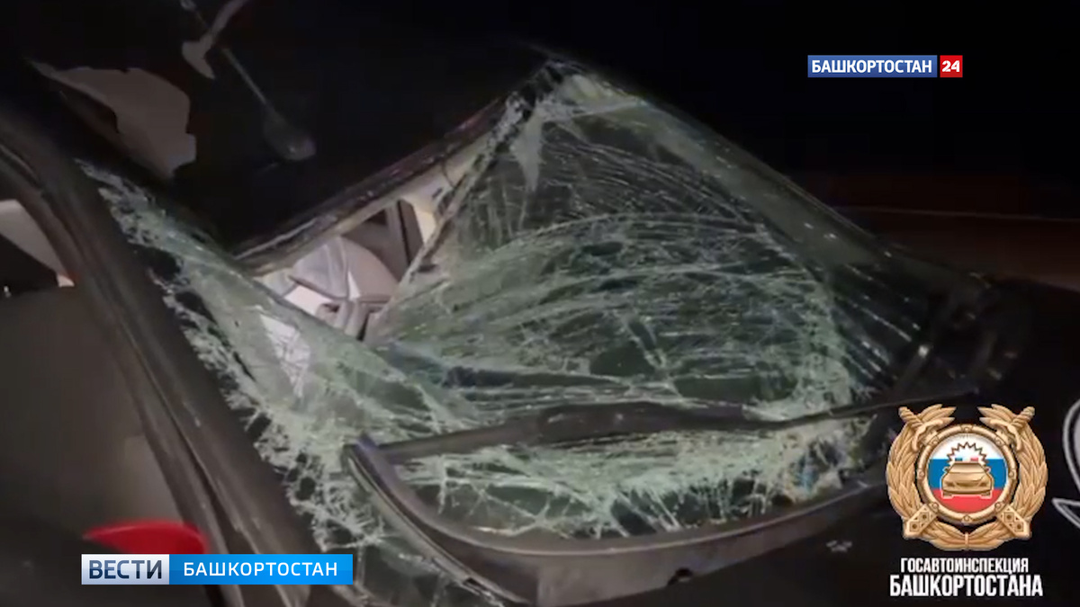    Велосипедист погиб под колесами автомобиля на трассе в Башкортостане