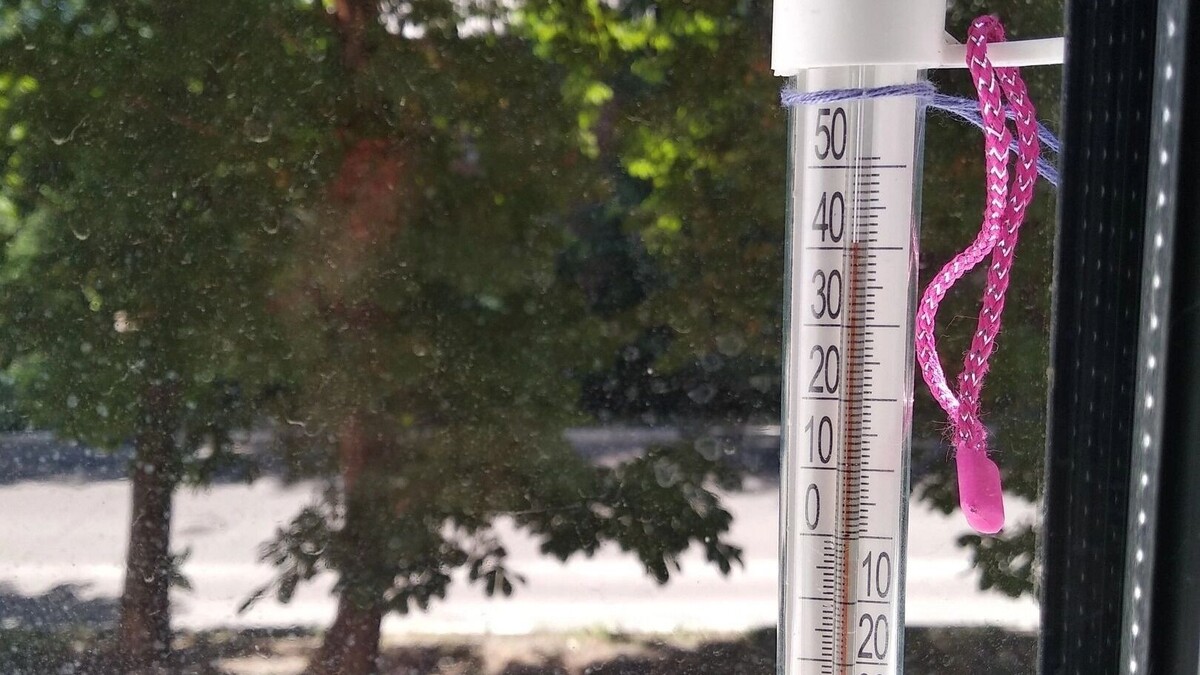     Источник: 1MI