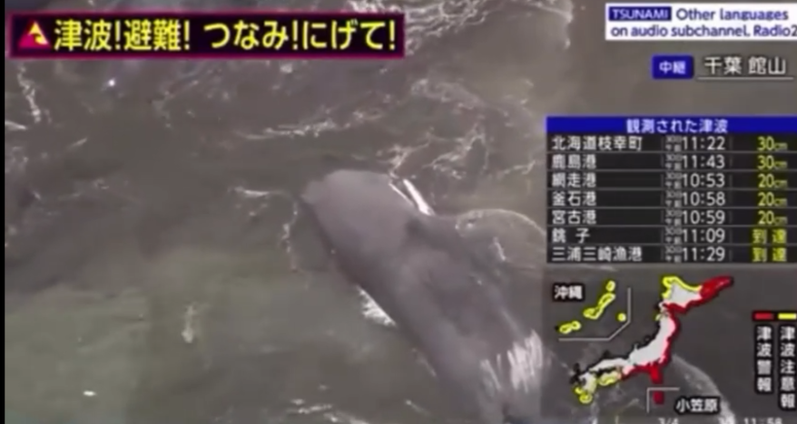    Источник фото: