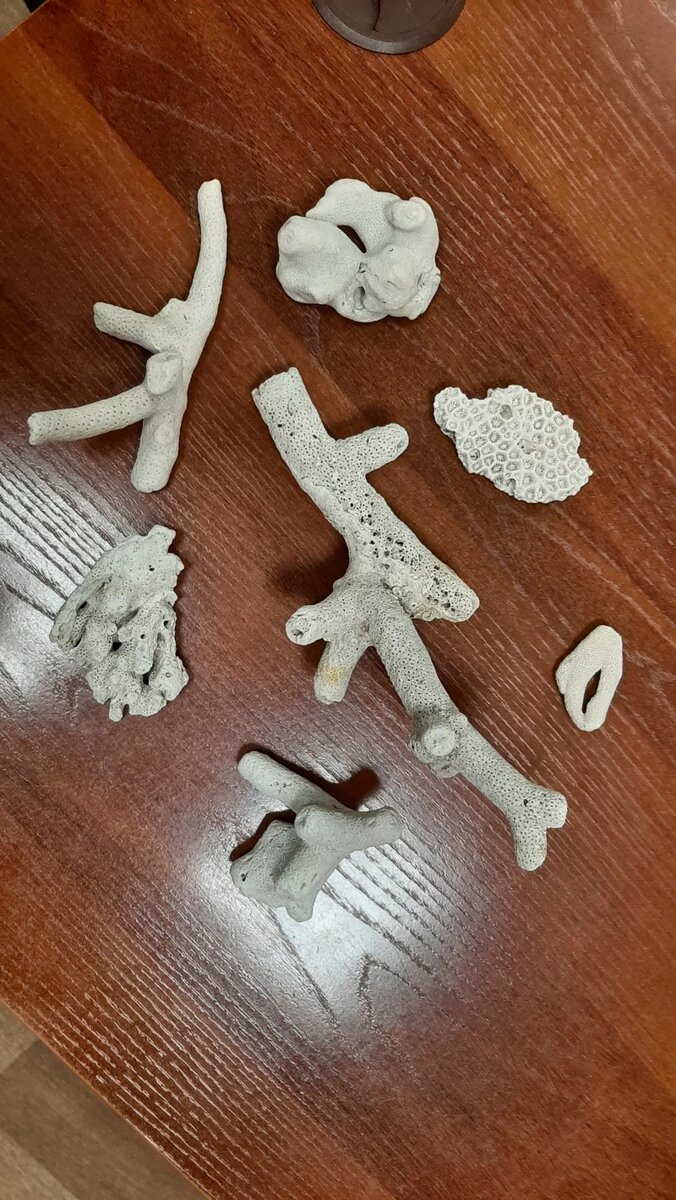 Листайте вправо, чтобы увидеть больше изображений