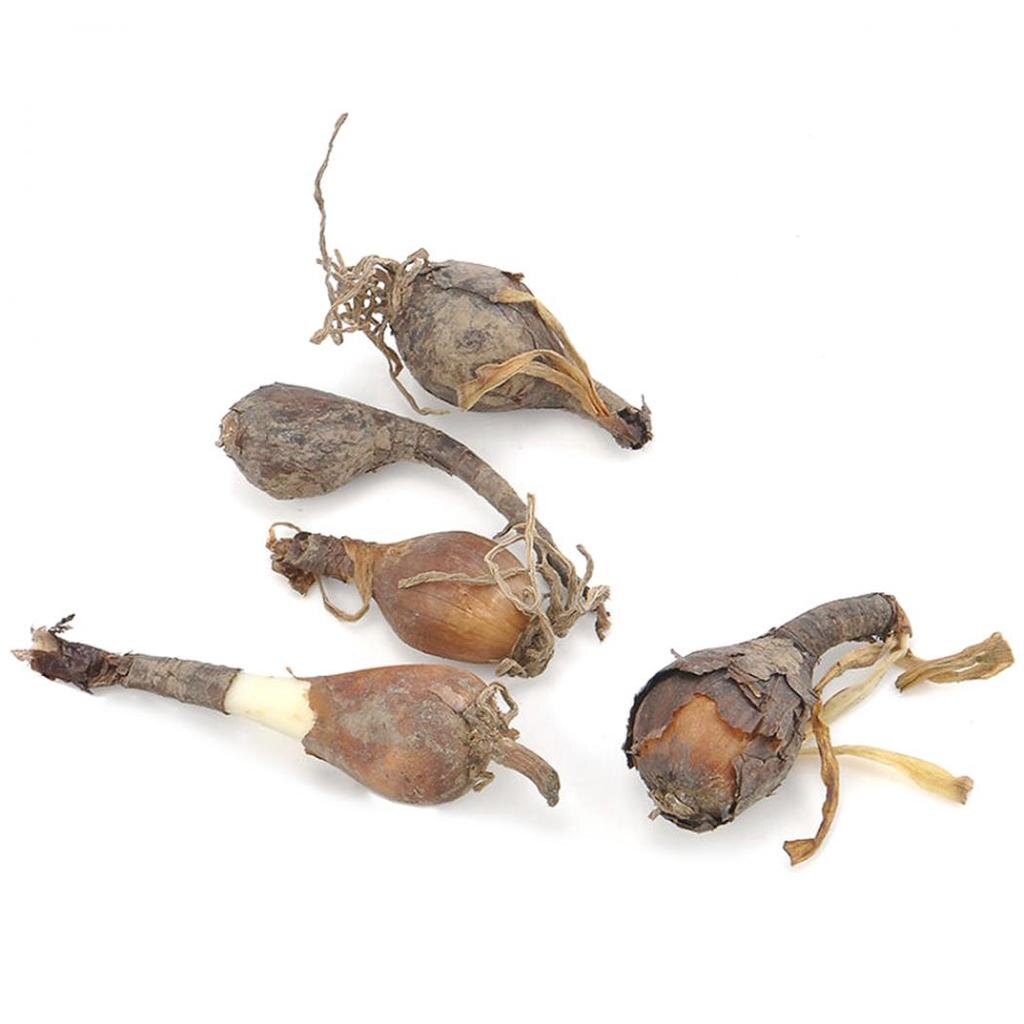 Фото с сайта: https://www.joom.ru/