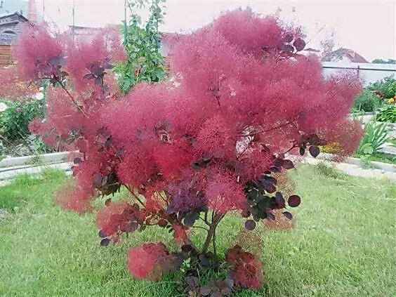 Фото из свободного доступа