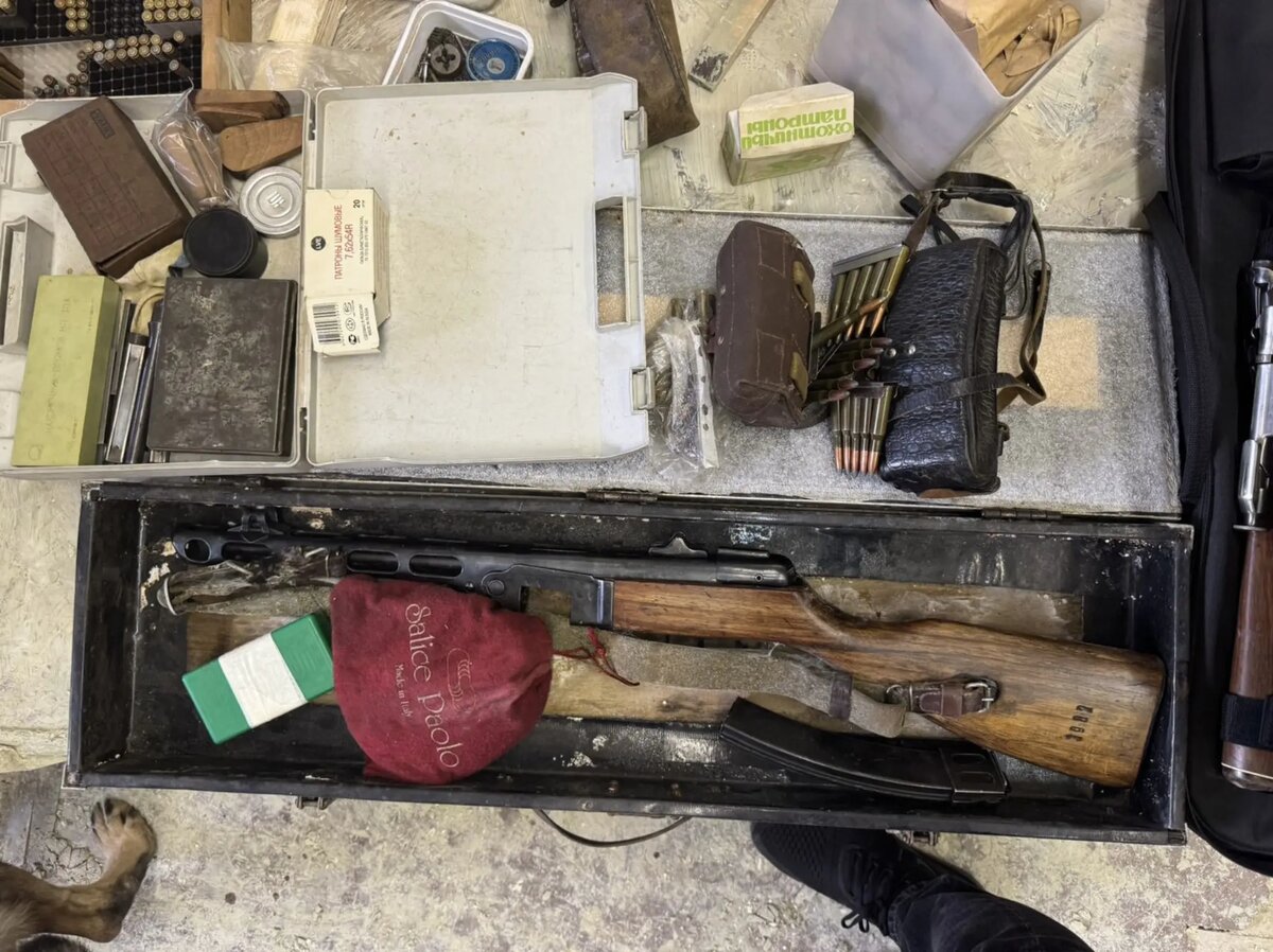    Фото: ГУ МВД по Петербургу и Ленобласти