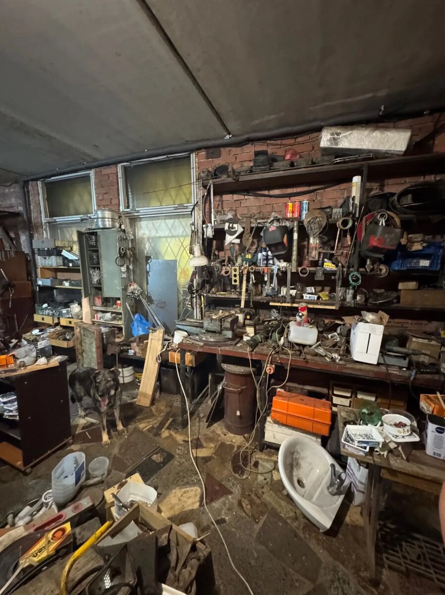    Фото: ГУ МВД по Петербургу и Ленобласти