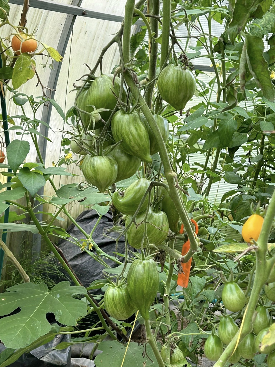 Как по мне, так физиологичные методы гораздо предпочтительнее всех других. А аминокислоты - самый простой и надежный вариант.