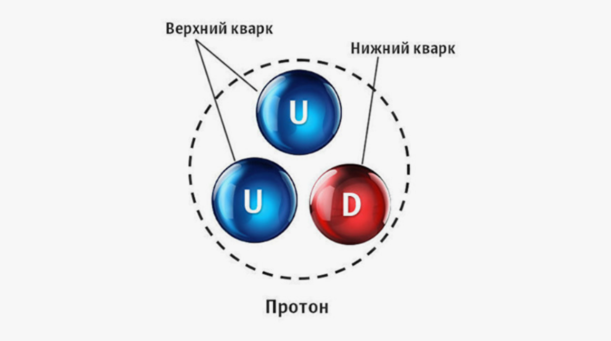 Предполагаемое устройство протона
