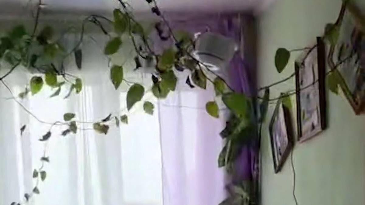    Фото: Telegram / РБК.Новости.Главное