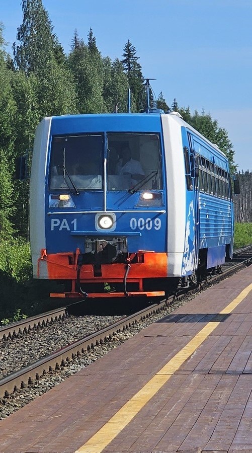 Рельсовый автобус "Зоопарк экспресс". Фото "Из Москвы на выходные"