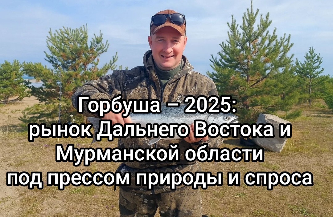 Горбуша – 2025: рынок Дальнего Востока и Мурманской области под прессом природы и спроса. (на фото вместо горбуши был окунь)